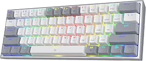 Redragon K617 Fizz 60% Wired RGB Gaming Keyboard, 61 Keys Compact Mechanical Keyboard w/White and Grey Color Keycaps, Linear Red Switch, Pro Driver/Software Supported