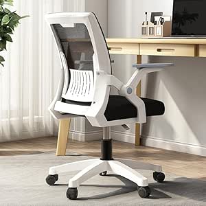 Aiwanto 360° rotating wheels Ergonomic Office Chair, Swivel Desk Chair Height Adjustable Mesh Back Computer Chair with Lumbar Support, 90° Flip-up Armrest Gaming Chair for Home Office（WHITE）