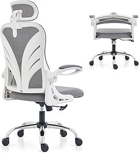 HOLLUDLE Ergonomic Office Chair with Foldable Backrest, Computer Desk Chair with Flip-up Armrests, Mesh Lumbar Support and 2D Headrest Big and Tall Office Chair, White (Folder2-GR)